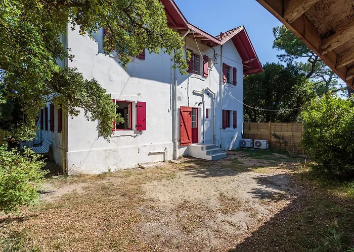 Gracieuse - Welkeys סורטס הוסגור